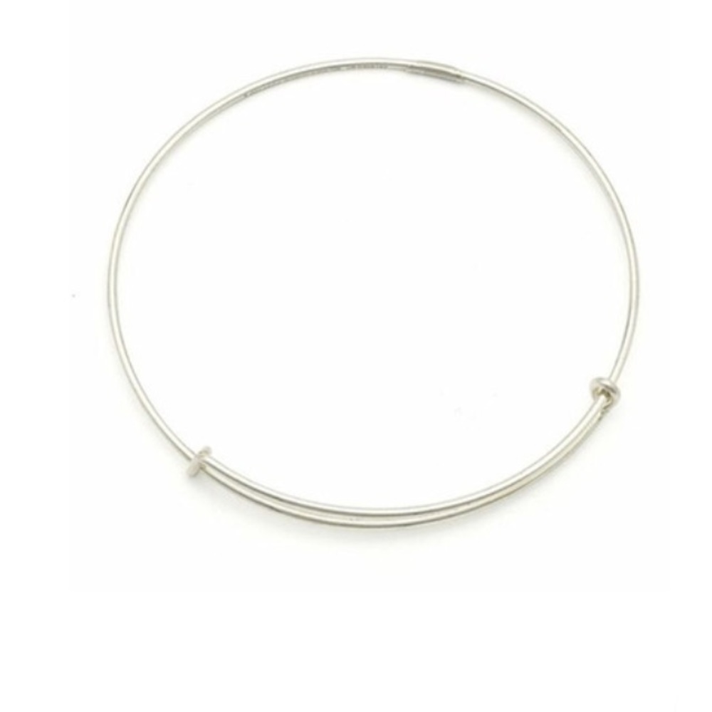 🆕 Alex & Ani Gold Bangle Bracelet